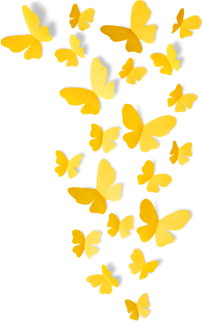 Pretty Yellow Butterflies 