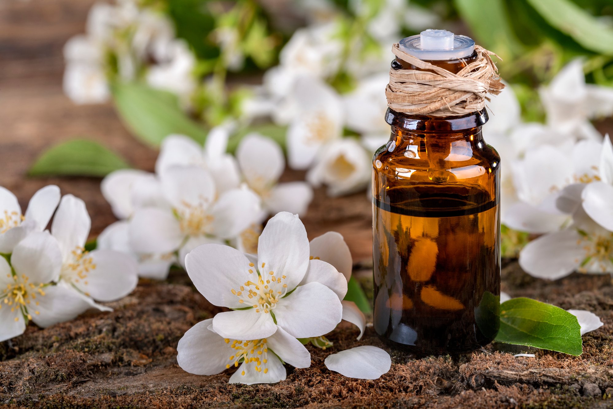 Jasmine essential oil